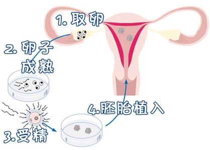 周医師